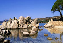 [图]格纳布里双响 拜仁6-0大胜沙尔克取三连胜.